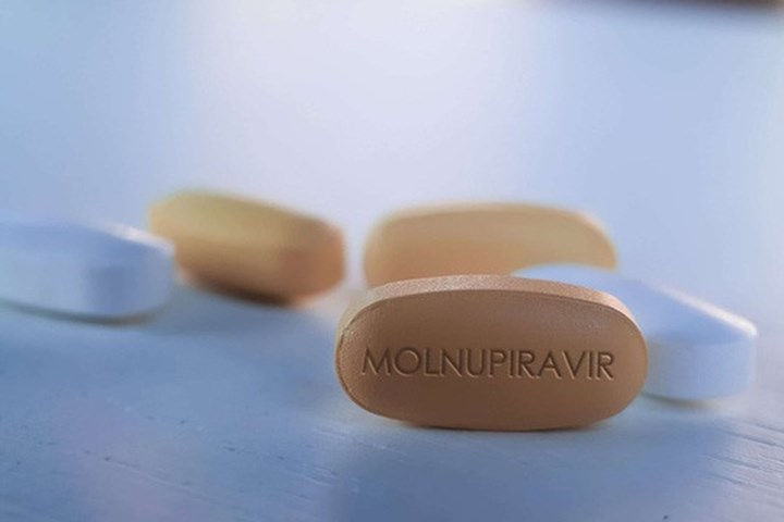 Molnupiravir là thuốc gì
